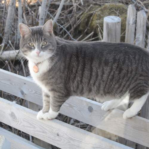 Photo #12210502