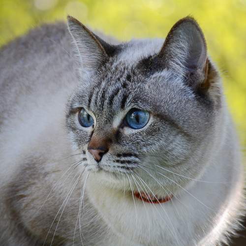 Photo #12210694