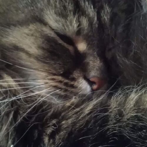 Photo #12210901