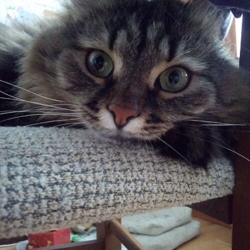 Photo #12210902