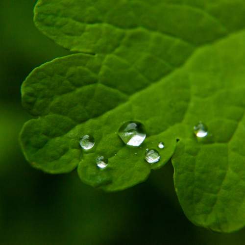 Photo #12211040
