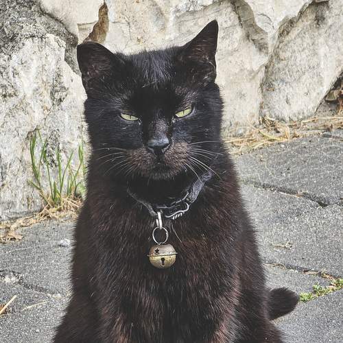 Photo #12211135