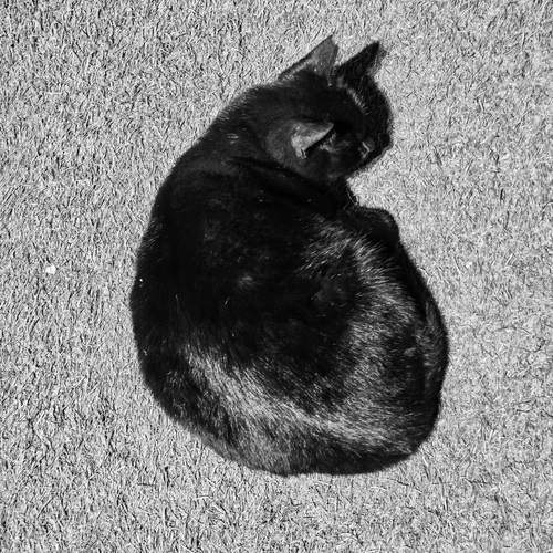 Photo #12211136
