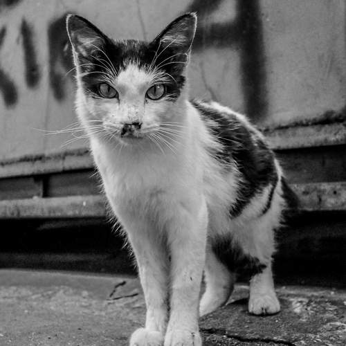 Photo #12211157