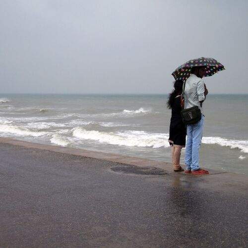 Photo #12211295
