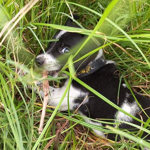 Photo #12211304