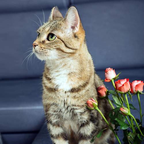 Photo #12211624