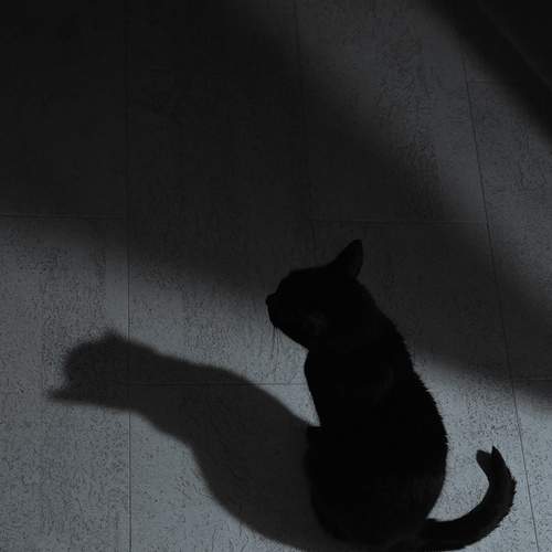 Photo #12211643