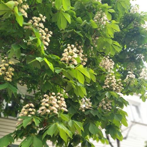 Photo #12211716
