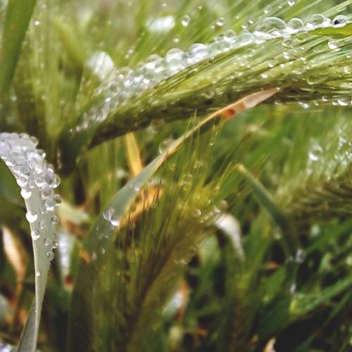 Photo #12211733