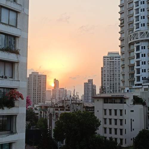Photo #12211804