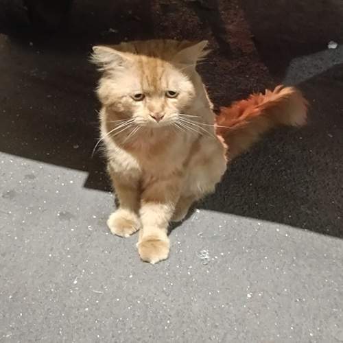 Photo #12211868