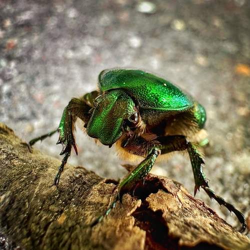 Photo #12211901