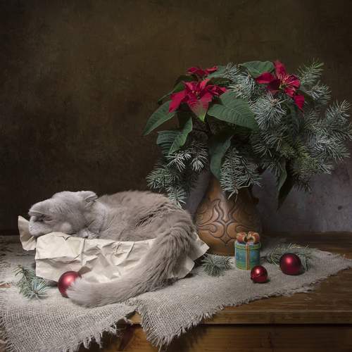 Photo #12211984