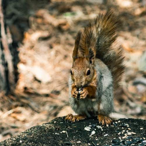 Photo #12211997