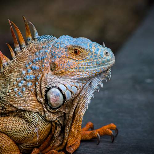 Photo #12212262