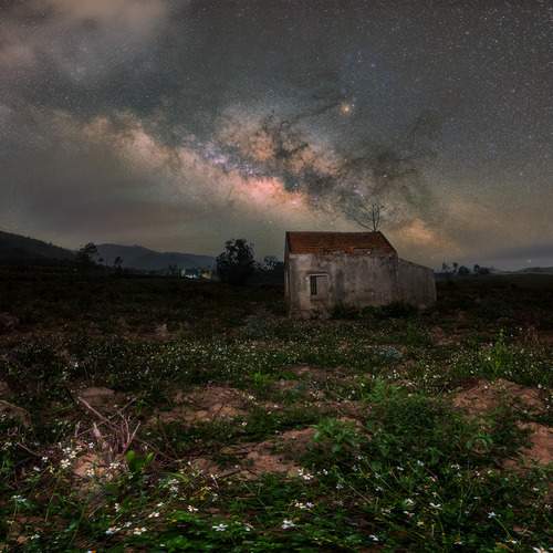 Photo #12212319