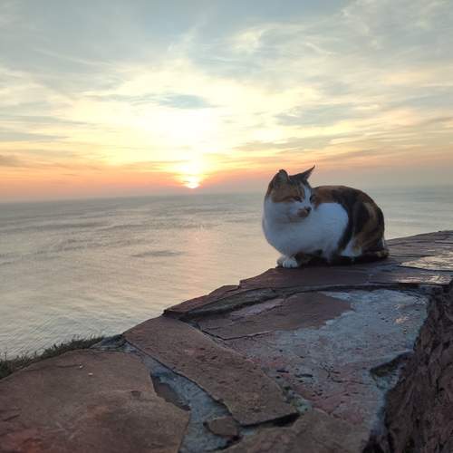 Photo #12212371