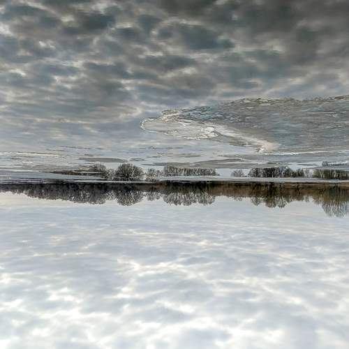 Photo #12212470