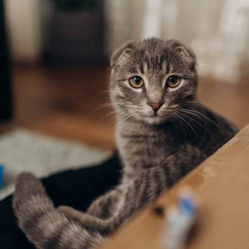 Photo #12212545