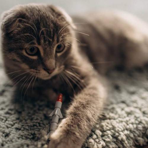 Photo #12212547
