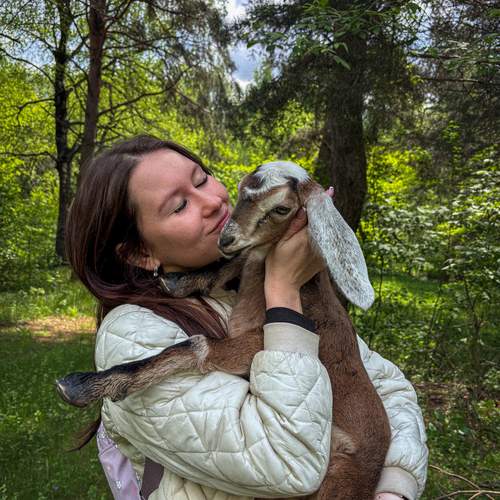 Photo #12212606