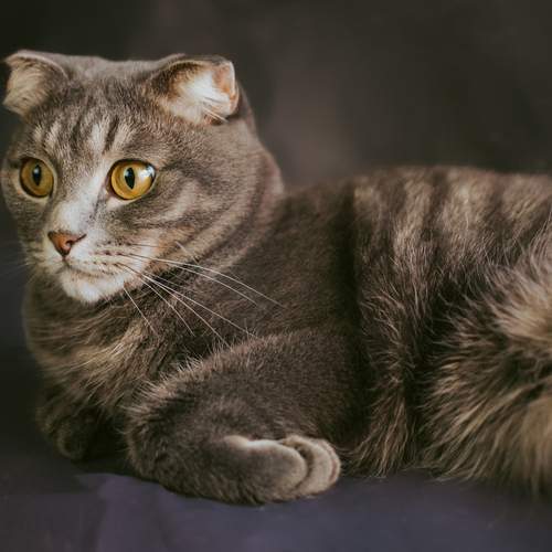 Photo #12212839