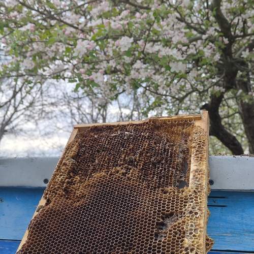 Photo #12212890