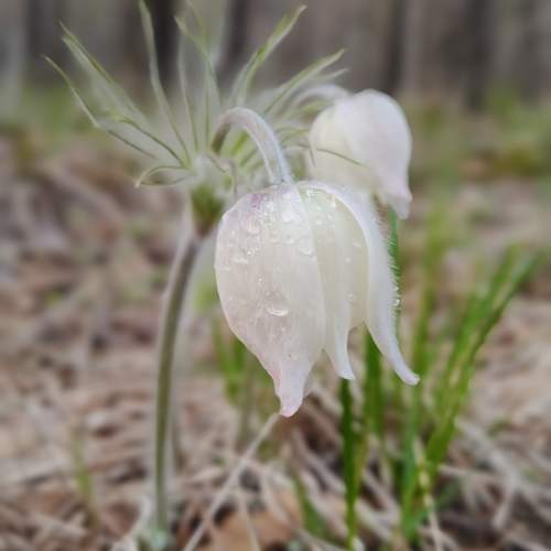 Photo #12212976
