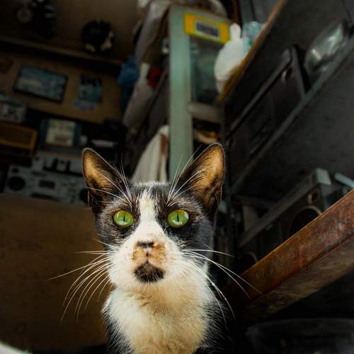 Photo #12213101