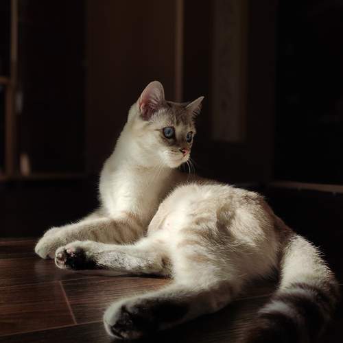 Photo #12213237