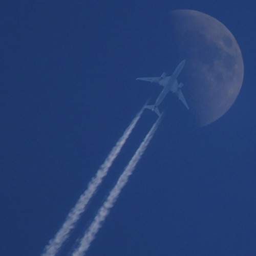 Photo #12213258