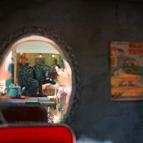 Photo #12213468