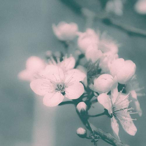 Photo #12213925