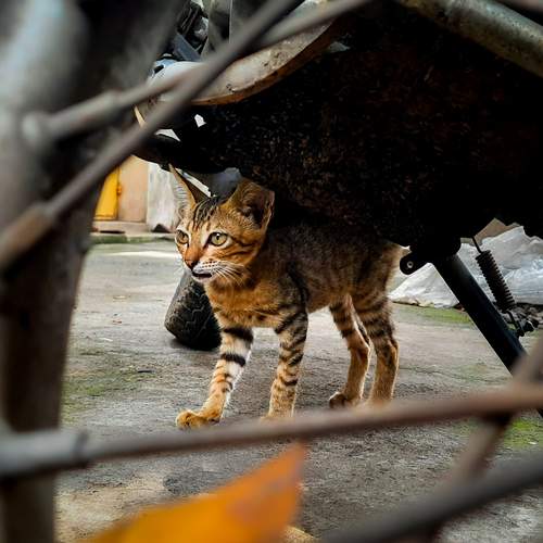Photo #12214059