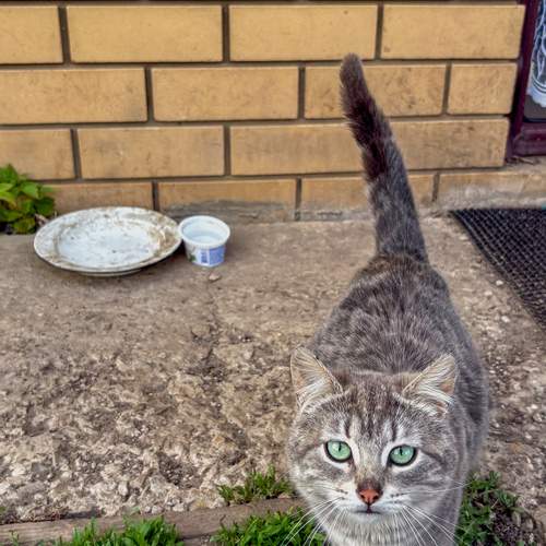 Photo #12214073