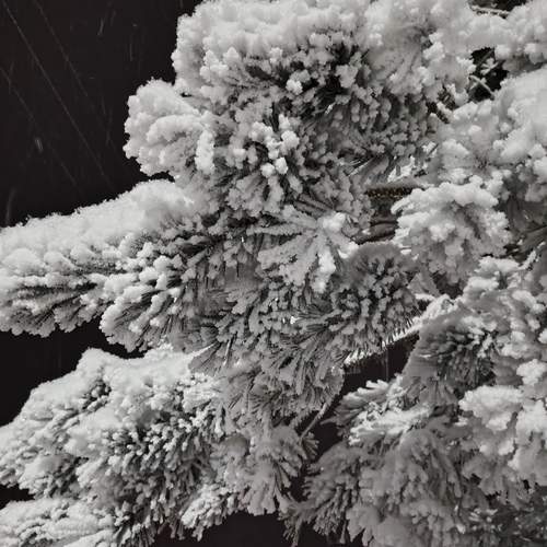 Photo #12214105