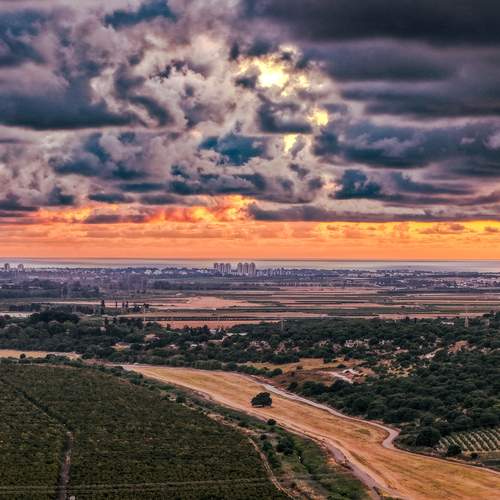 Photo #12214140