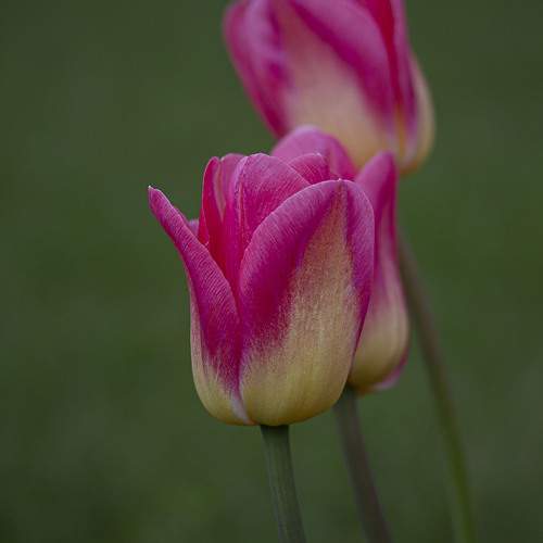 Photo #12214224