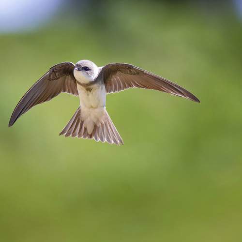 Photo #12214354