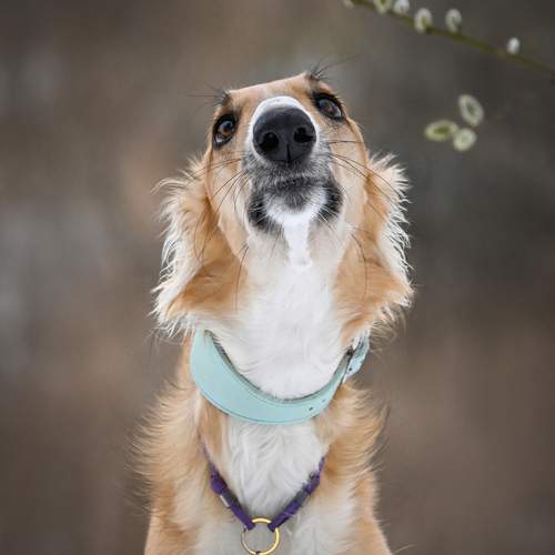 Photo #12214361