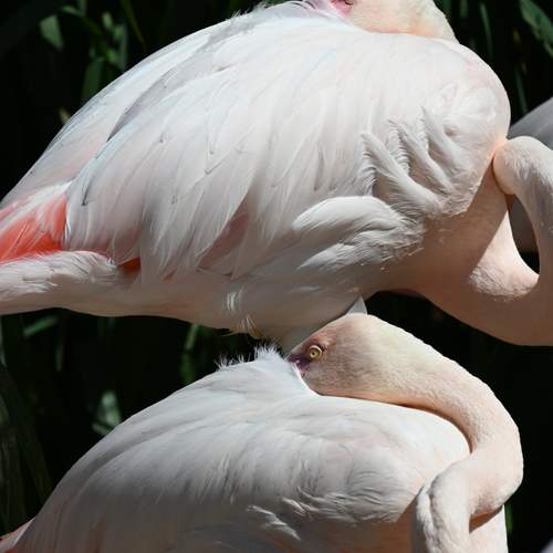 Photo #12214387