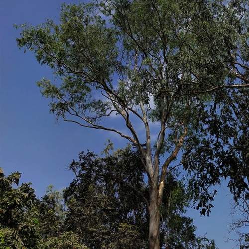 Photo #12214482