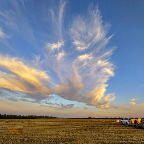 Photo #12214523