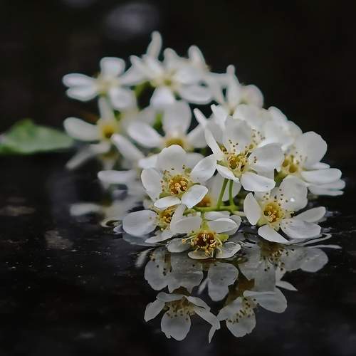 Photo #12214564