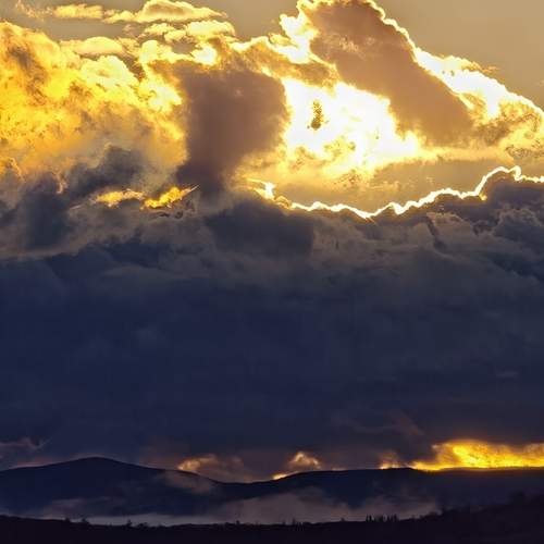 Photo #12214578