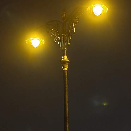 Photo #12214584