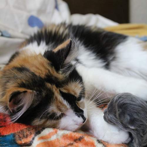 Photo #12214588