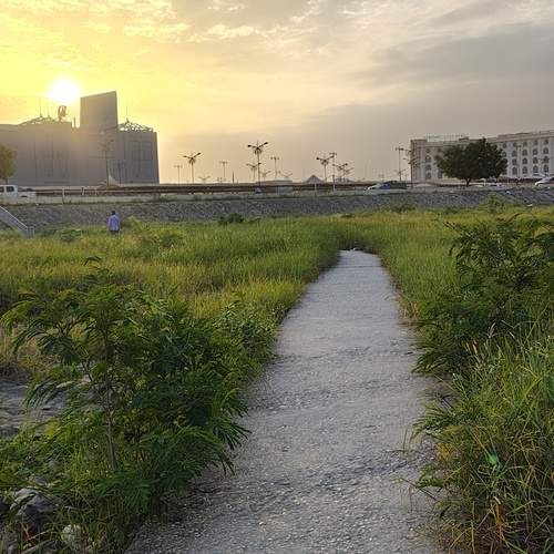 Photo #12214601