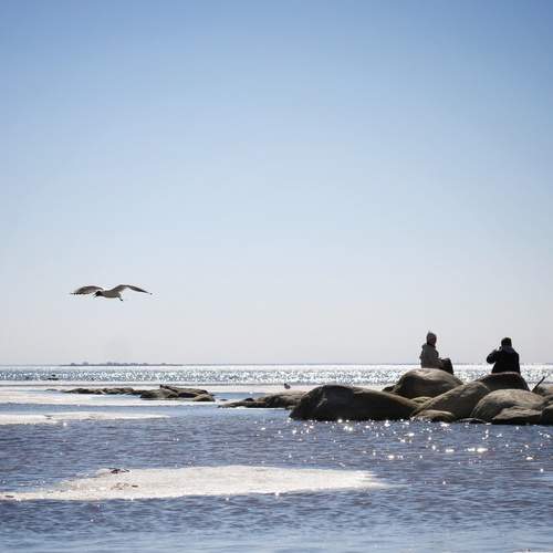 Photo #12215026